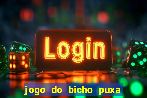 jogo do bicho puxa de dona maria