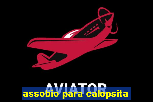 assobio para calopsita