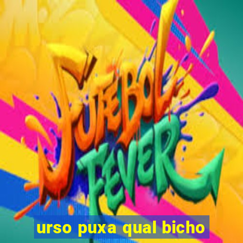 urso puxa qual bicho
