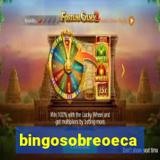 bingosobreoeca