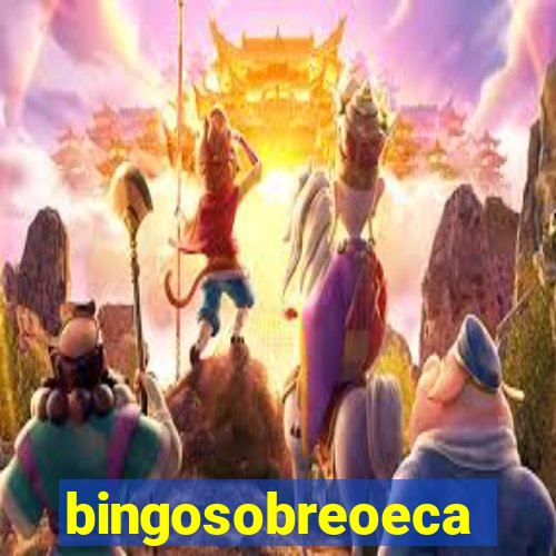 bingosobreoeca