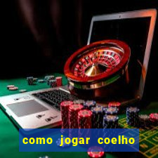 como jogar coelho da fortuna