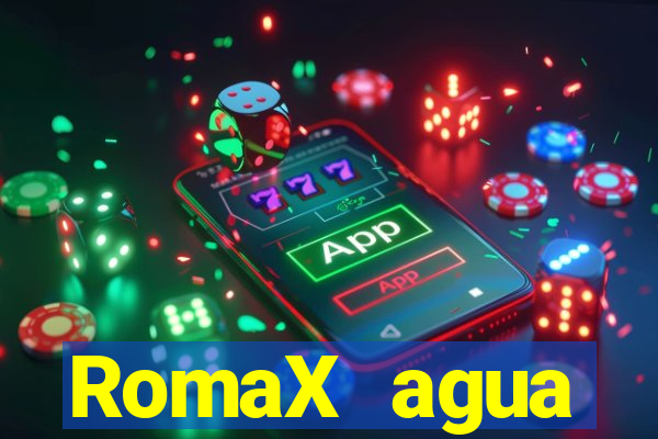 RomaX agua sanitaria fispq agua sanitaria romax