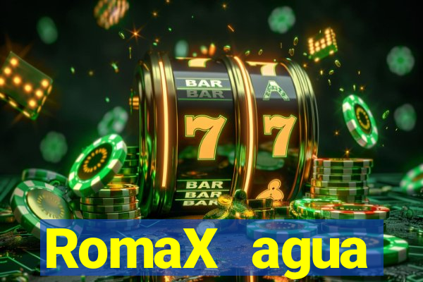 RomaX agua sanitaria fispq agua sanitaria romax