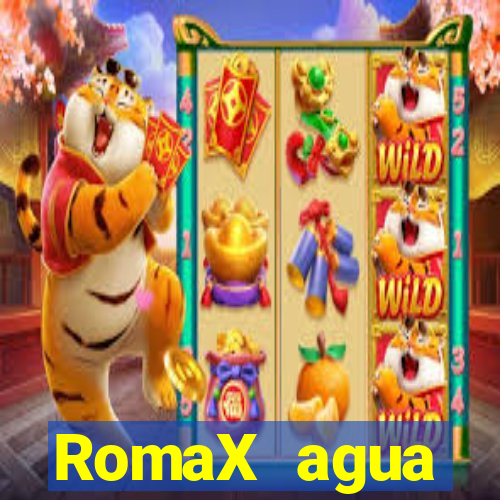 RomaX agua sanitaria fispq agua sanitaria romax