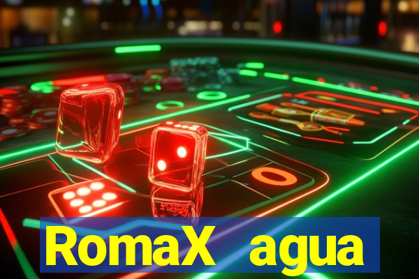 RomaX agua sanitaria fispq agua sanitaria romax