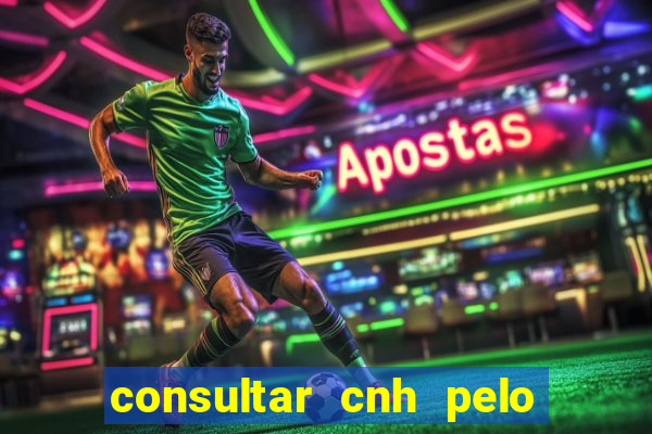 consultar cnh pelo cpf sp