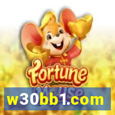 w30bb1.com