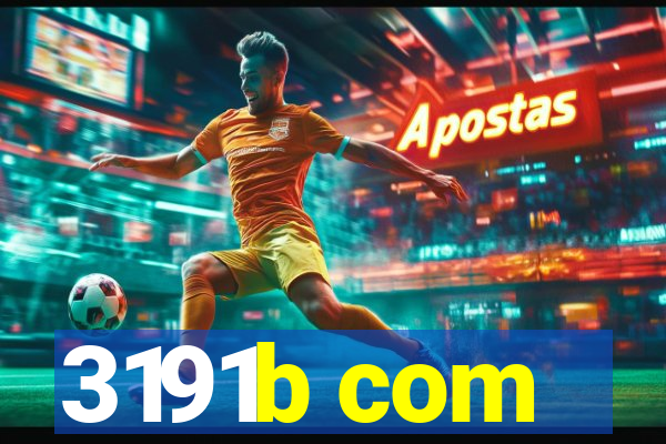 3191b com