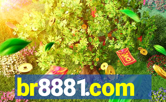 br8881.com