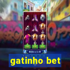 gatinho bet