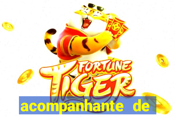 acompanhante de porto feliz