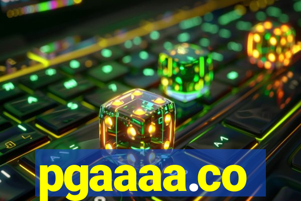 pgaaaa.co