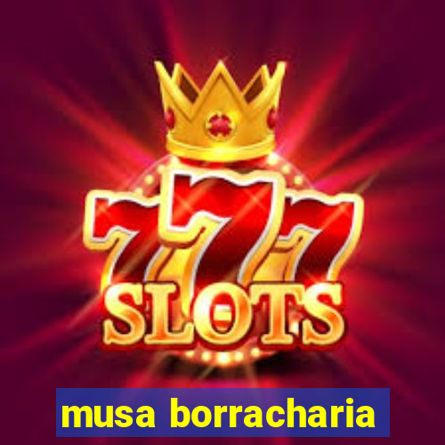 musa borracharia
