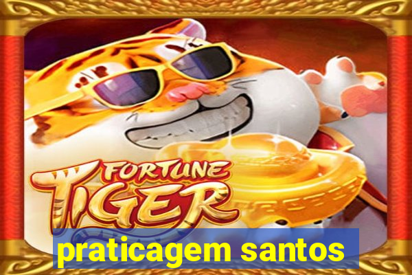 praticagem santos