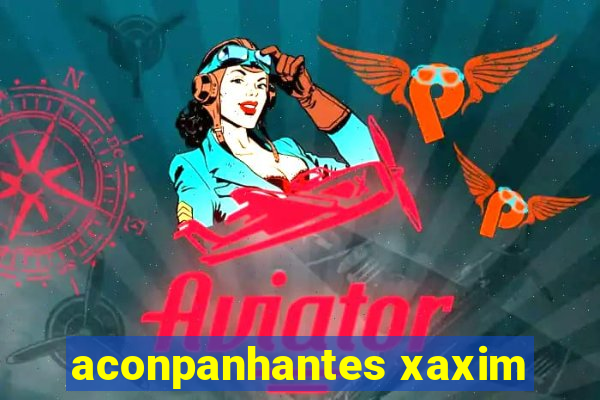 aconpanhantes xaxim