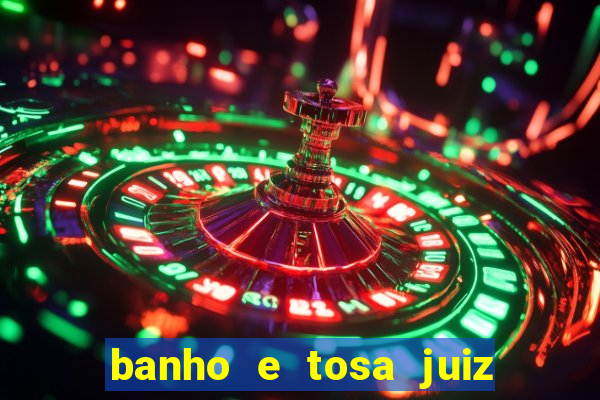 banho e tosa juiz de fora