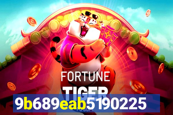144bet cassino