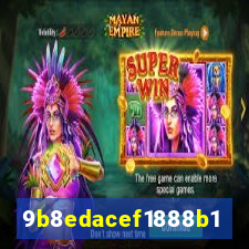 ss vip.com