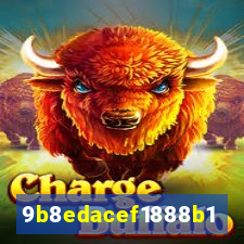 ss vip.com