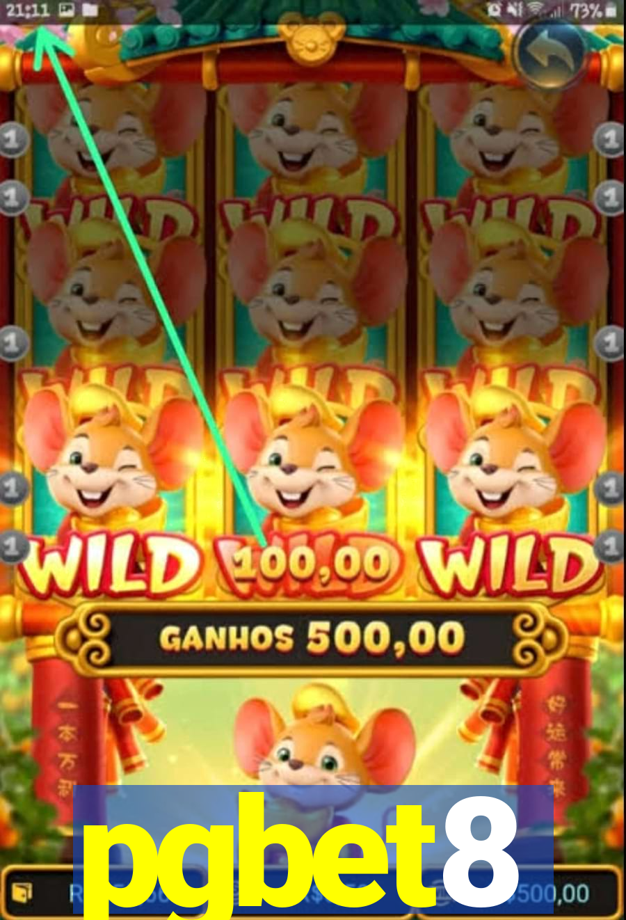 pgbet8
