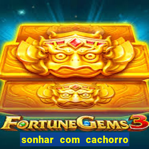 sonhar com cachorro sem cabeca