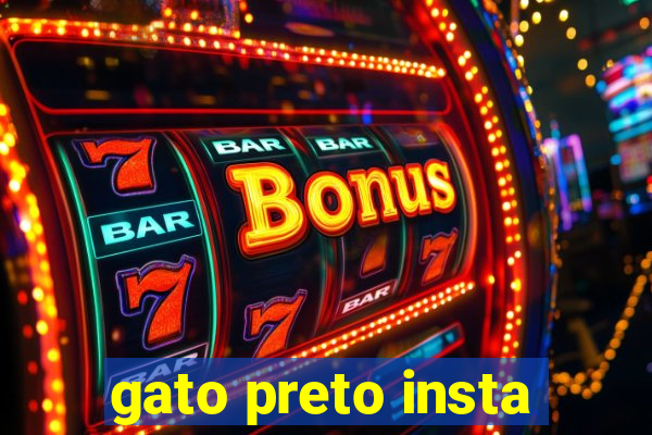 gato preto insta