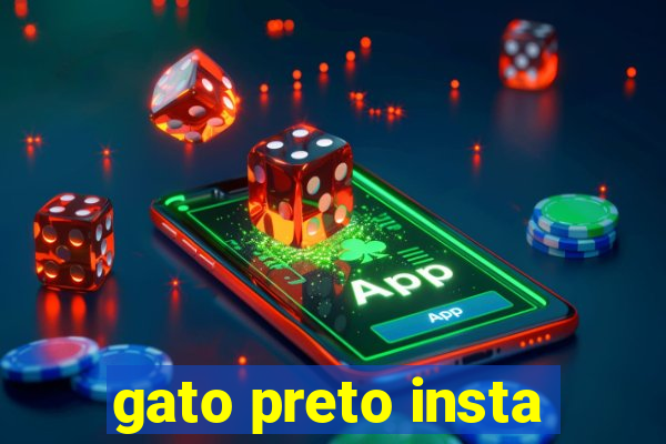 gato preto insta