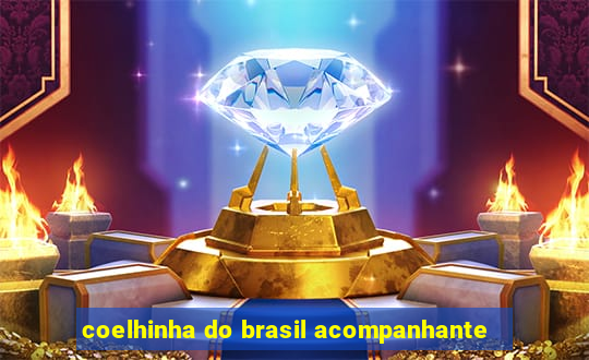 coelhinha do brasil acompanhante