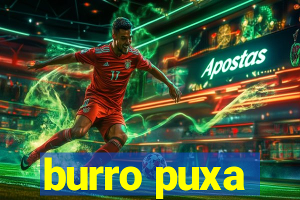 burro puxa