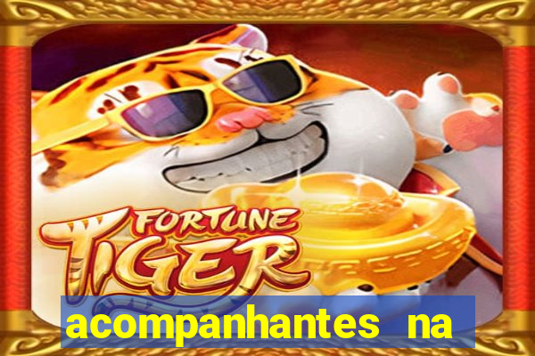 acompanhantes na vila nova cachoeirinha sp