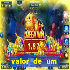 valor de um container usado
