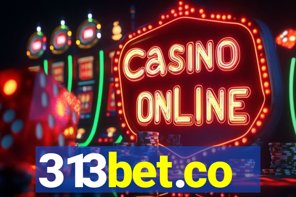 313bet.co