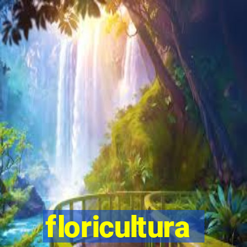 floricultura juazeiro bahia