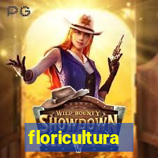 floricultura juazeiro bahia