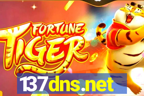 137dns.net