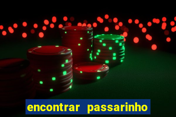encontrar passarinho morto significado