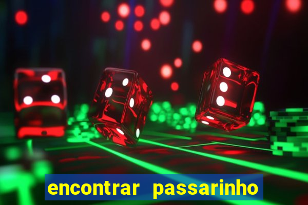 encontrar passarinho morto significado