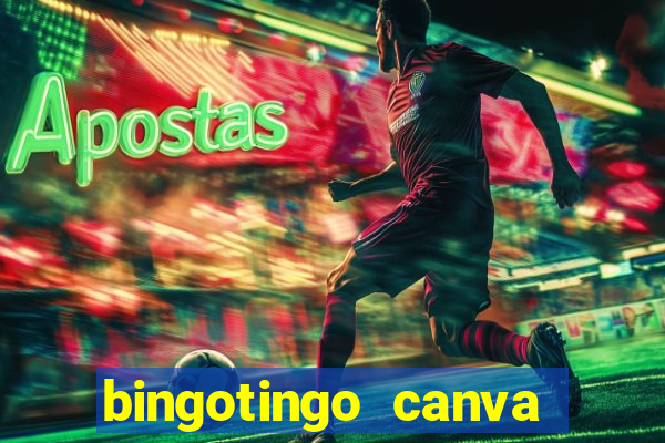 bingotingo canva pro gratis