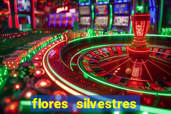 flores silvestres desbravadores desbravadores 25