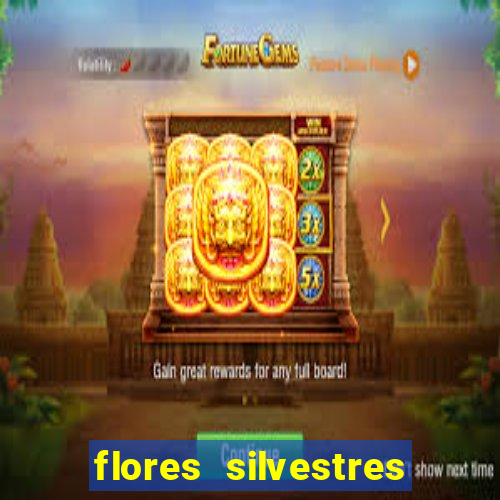 flores silvestres desbravadores desbravadores 25