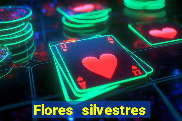 Flores silvestres brasileiras brasileiras flores silvestres nomes e imagens
