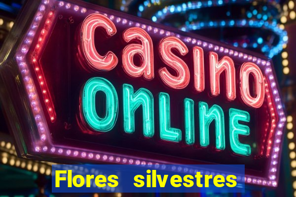 Flores silvestres brasileiras brasileiras flores silvestres nomes e imagens