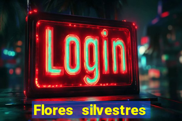 Flores silvestres brasileiras brasileiras flores silvestres nomes e imagens