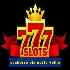 cachorro olx porto velho