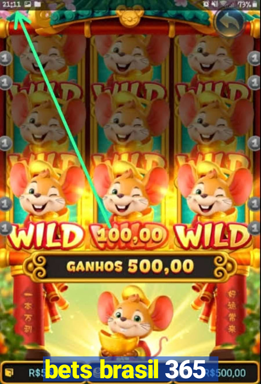 bets brasil 365