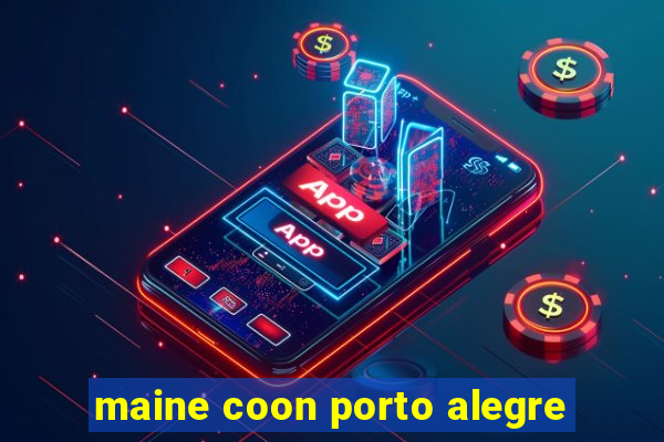 maine coon porto alegre