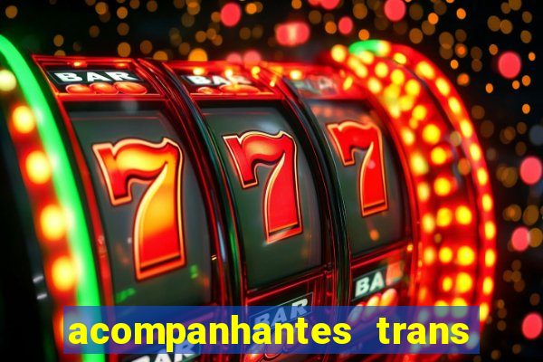 acompanhantes trans baixada fluminense
