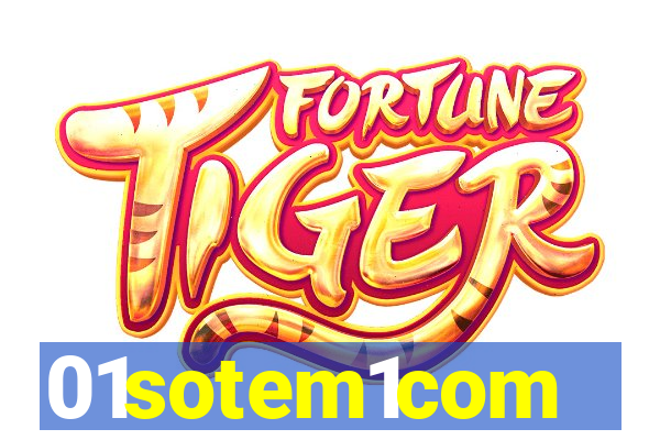 01sotem1com