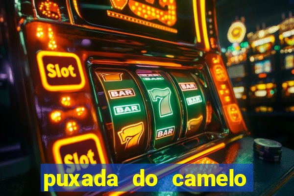 puxada do camelo no jogo do bicho